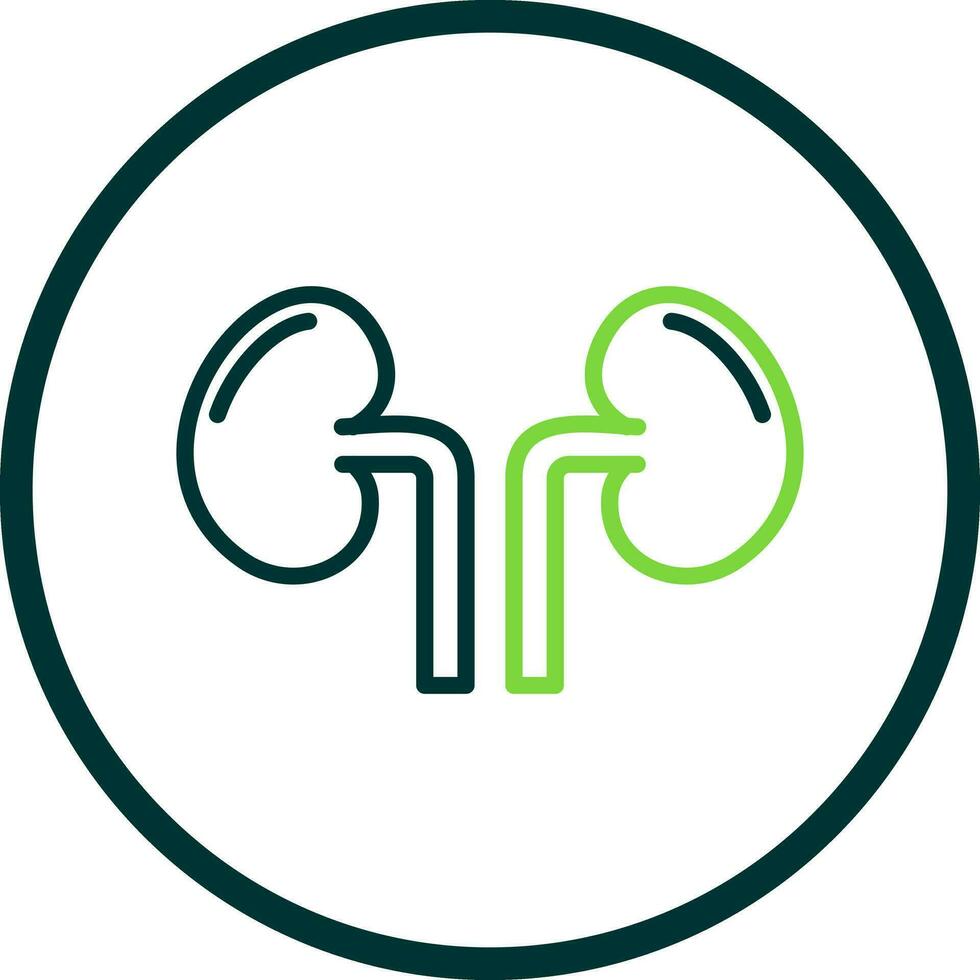 Kidney Vector Icon Design