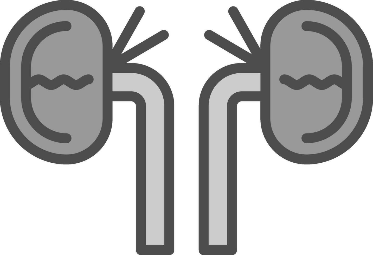 Kidney Vector Icon Design