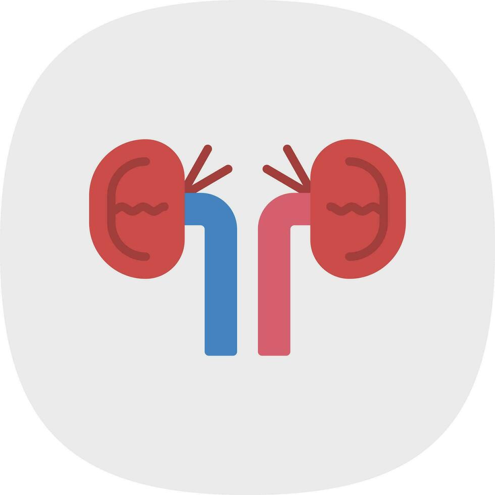 Kidney Vector Icon Design
