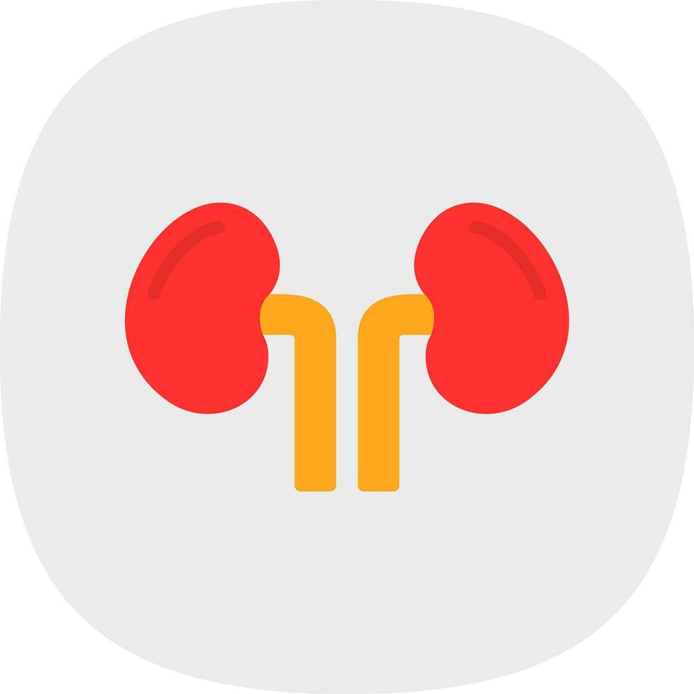 Kidney Vector Icon Design