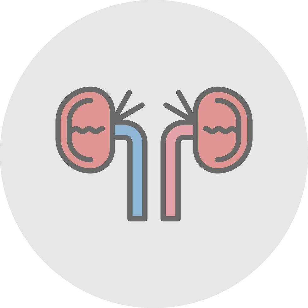 Kidney Vector Icon Design