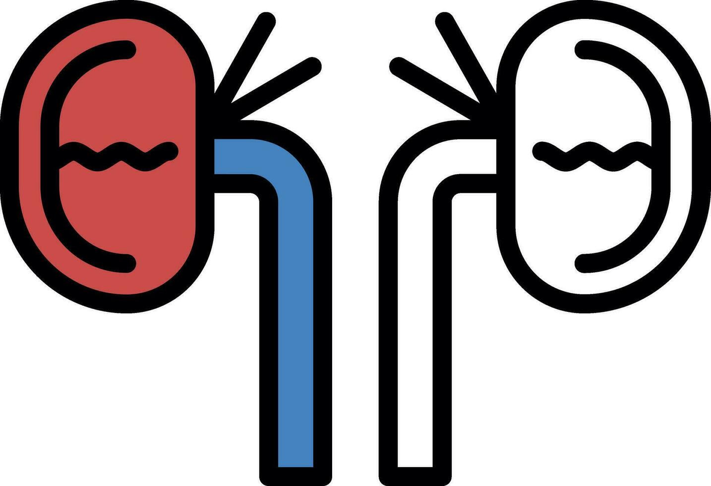 Kidney Vector Icon Design