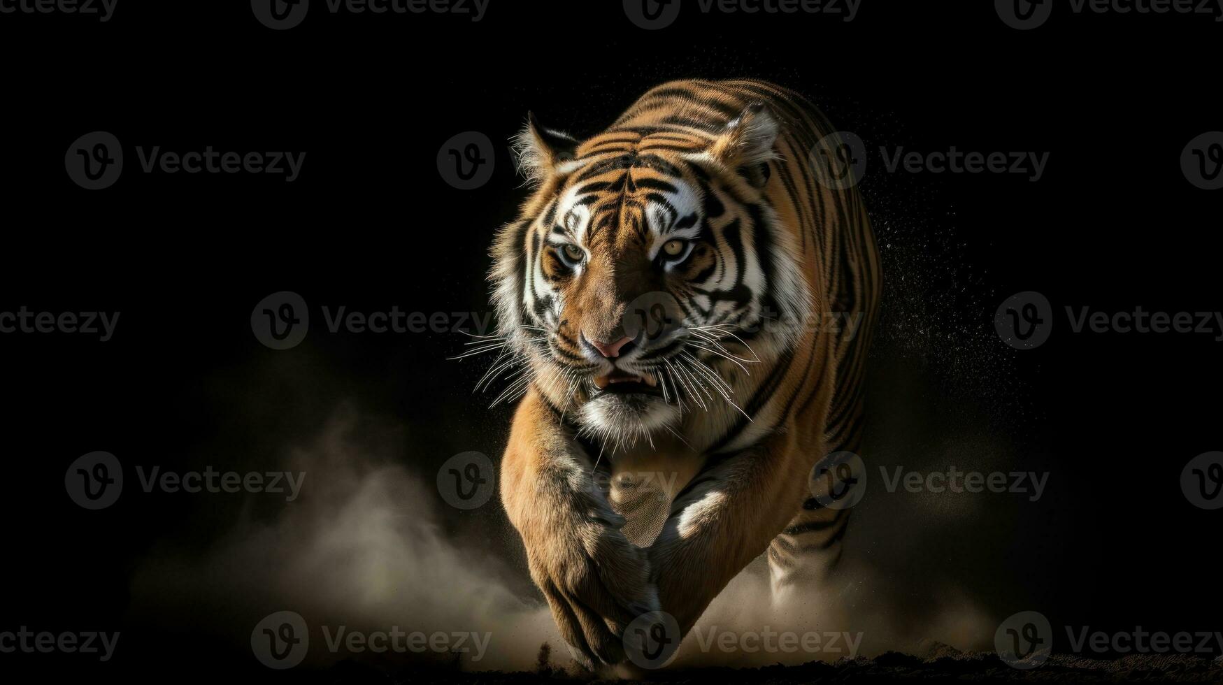 A Bengal Tiger, captured mid-stride, its sinewy muscles standing out beneath its luminous fur photo