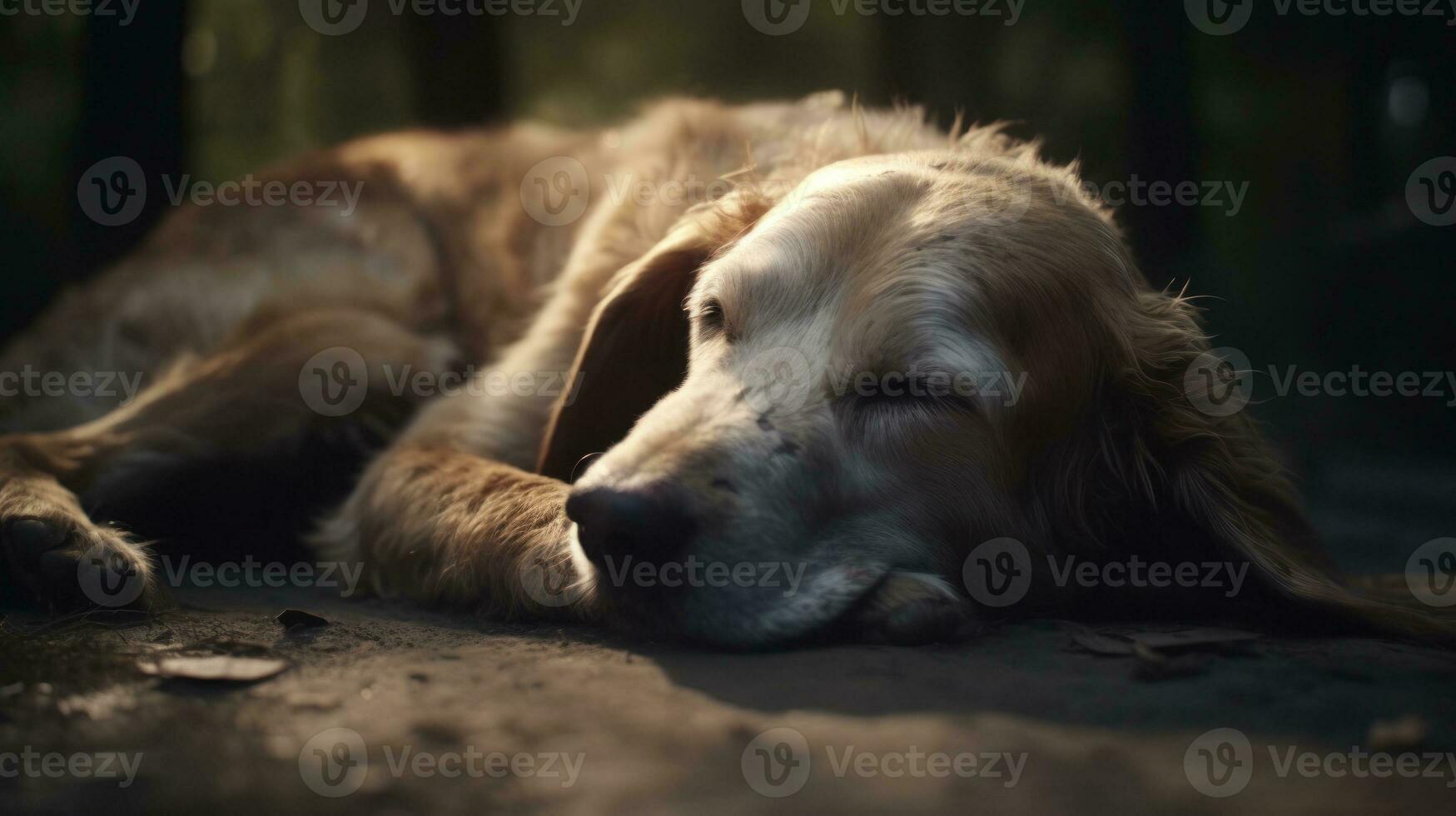 A dog running in its sleep paws twitching and tail wagging photo