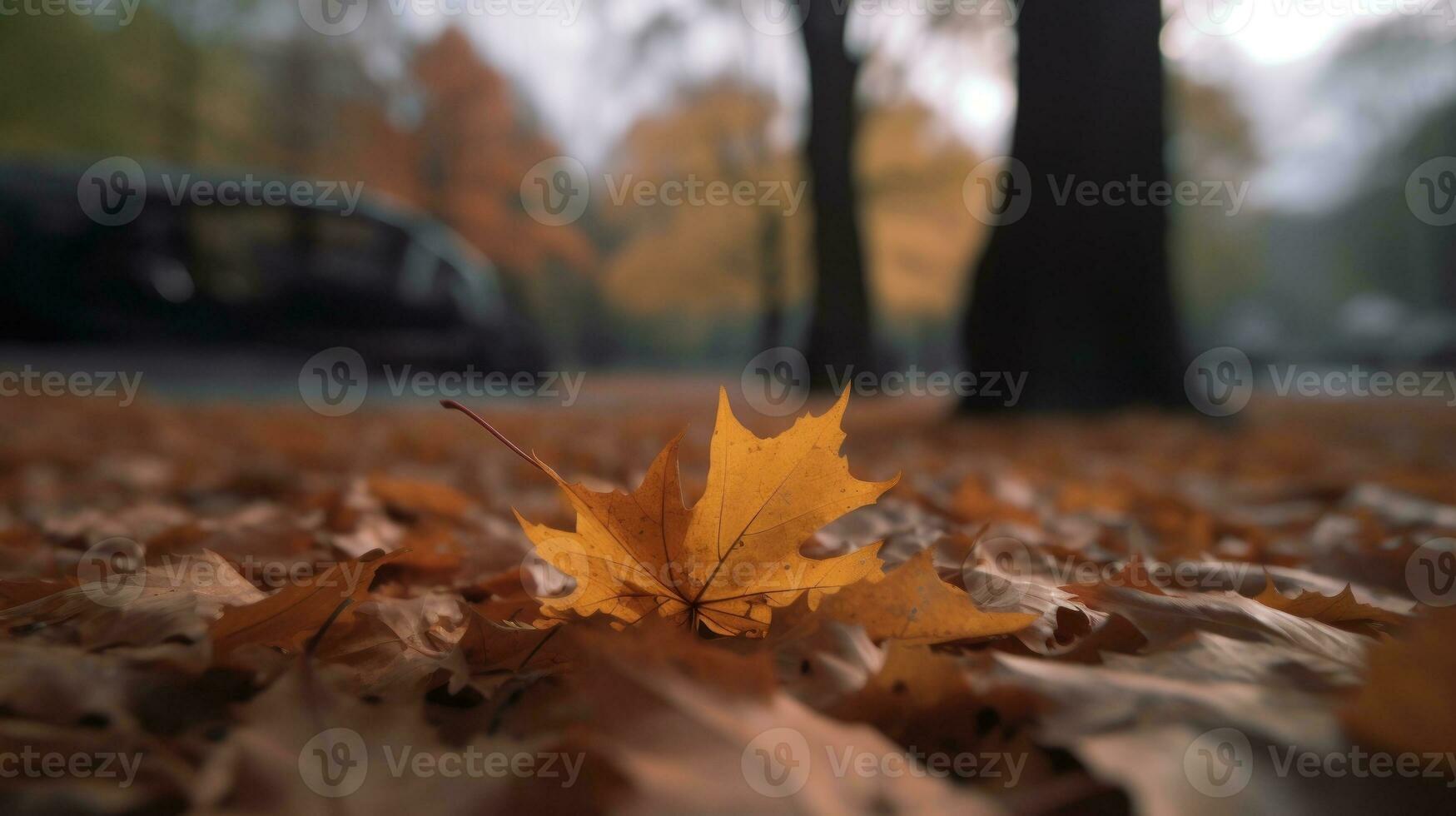 el primero flor floreciente a el final de un largo invierno foto