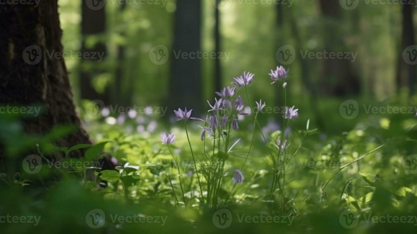 The blossoming of wildflowers in the forest during spring photo