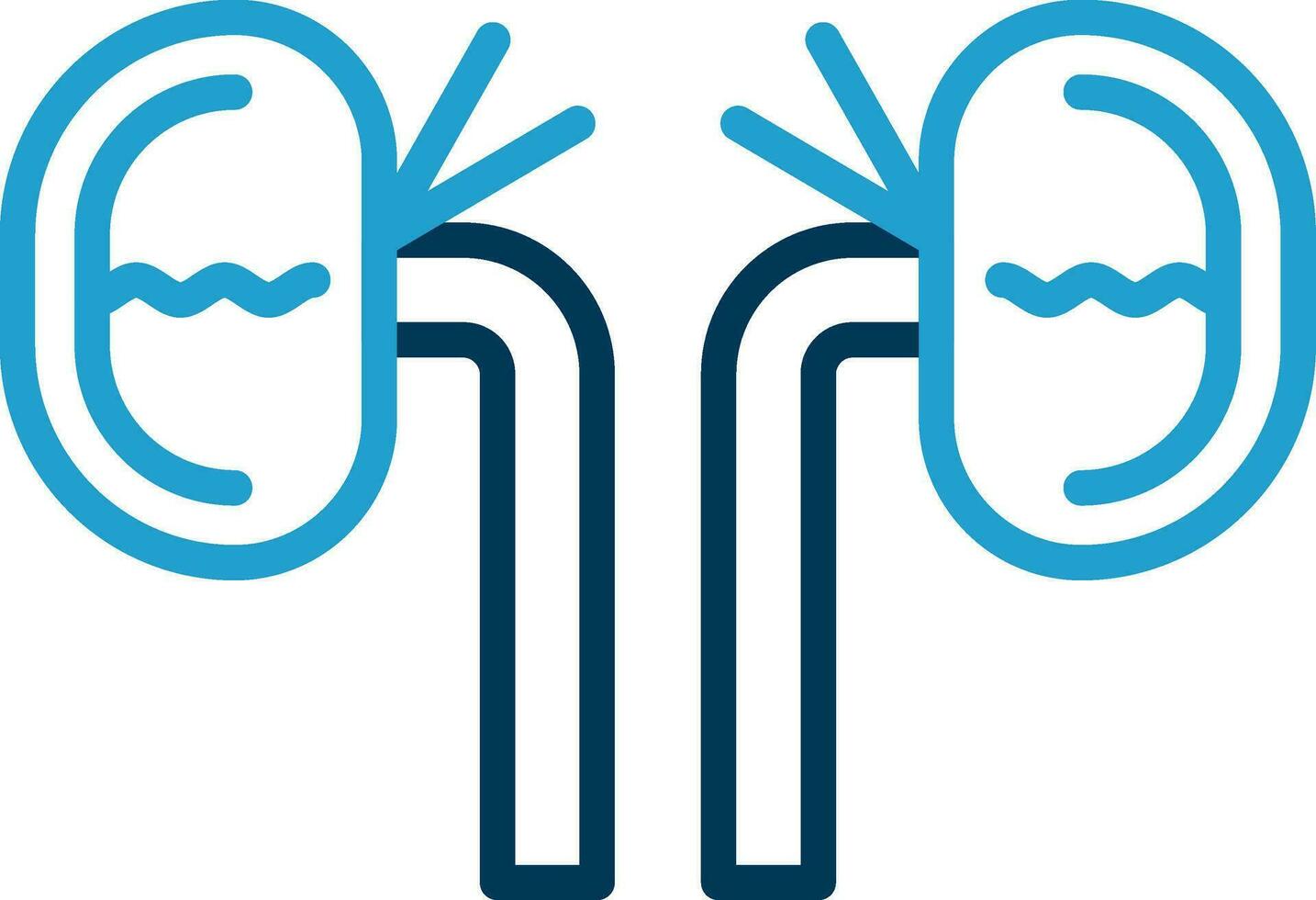 Kidney Vector Icon Design