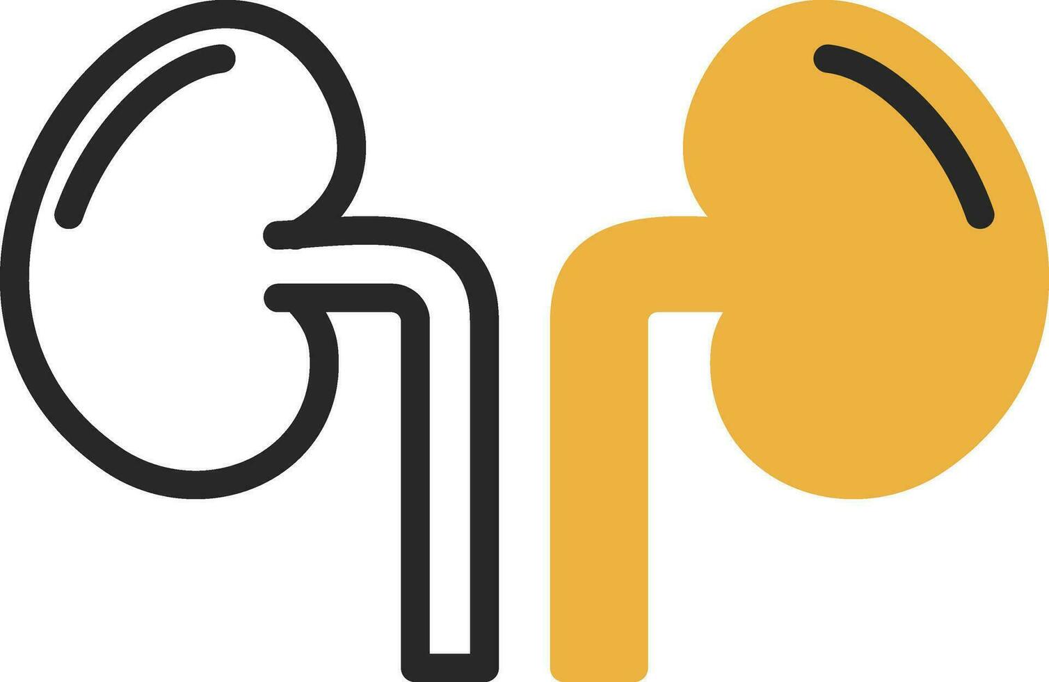 Kidney Vector Icon Design