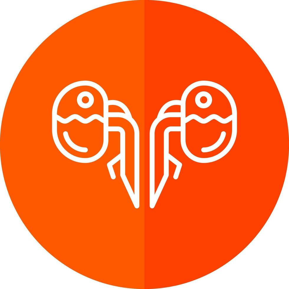 Kidneys Vector Icon Design