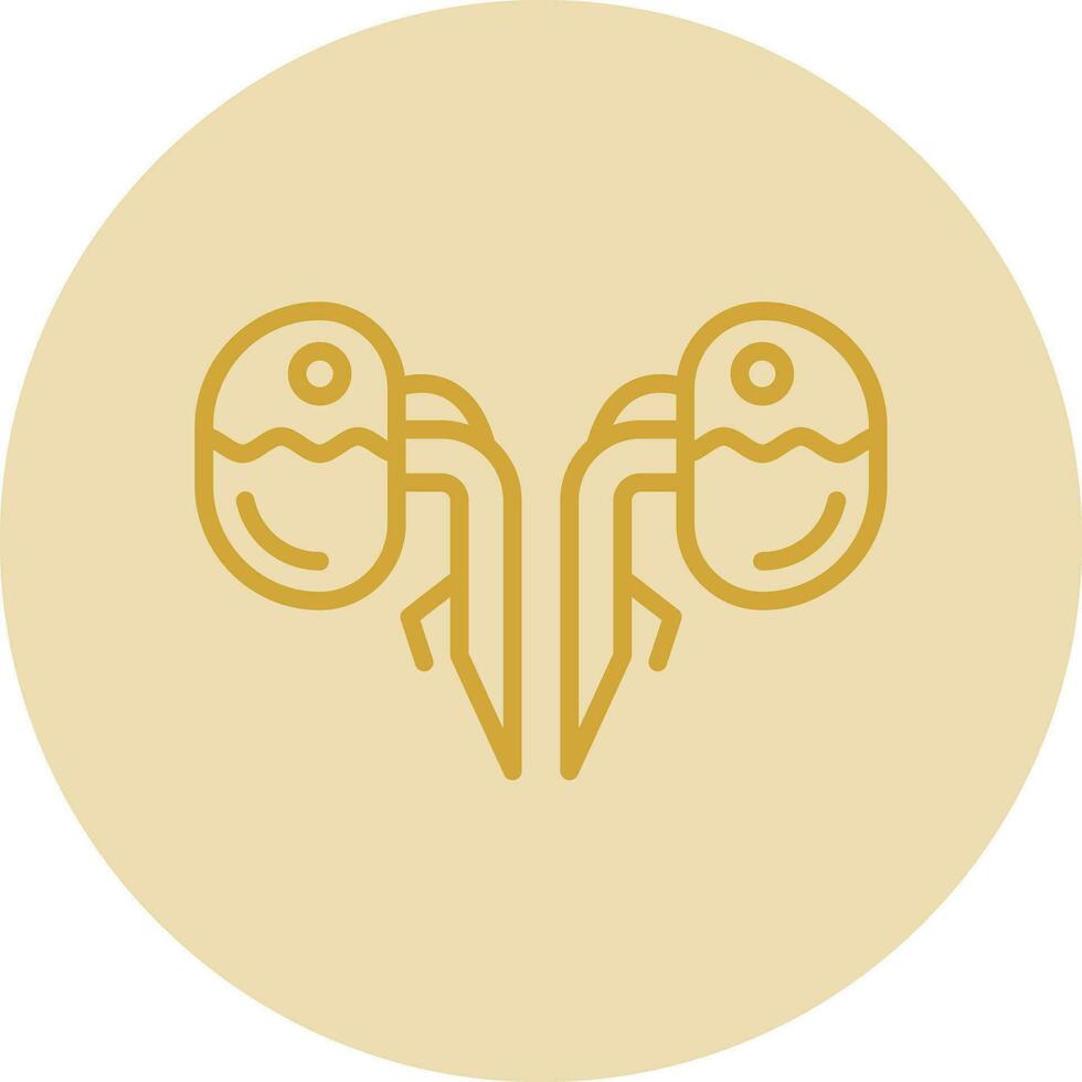 Kidneys Vector Icon Design