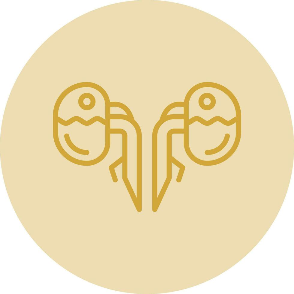 Kidneys Vector Icon Design