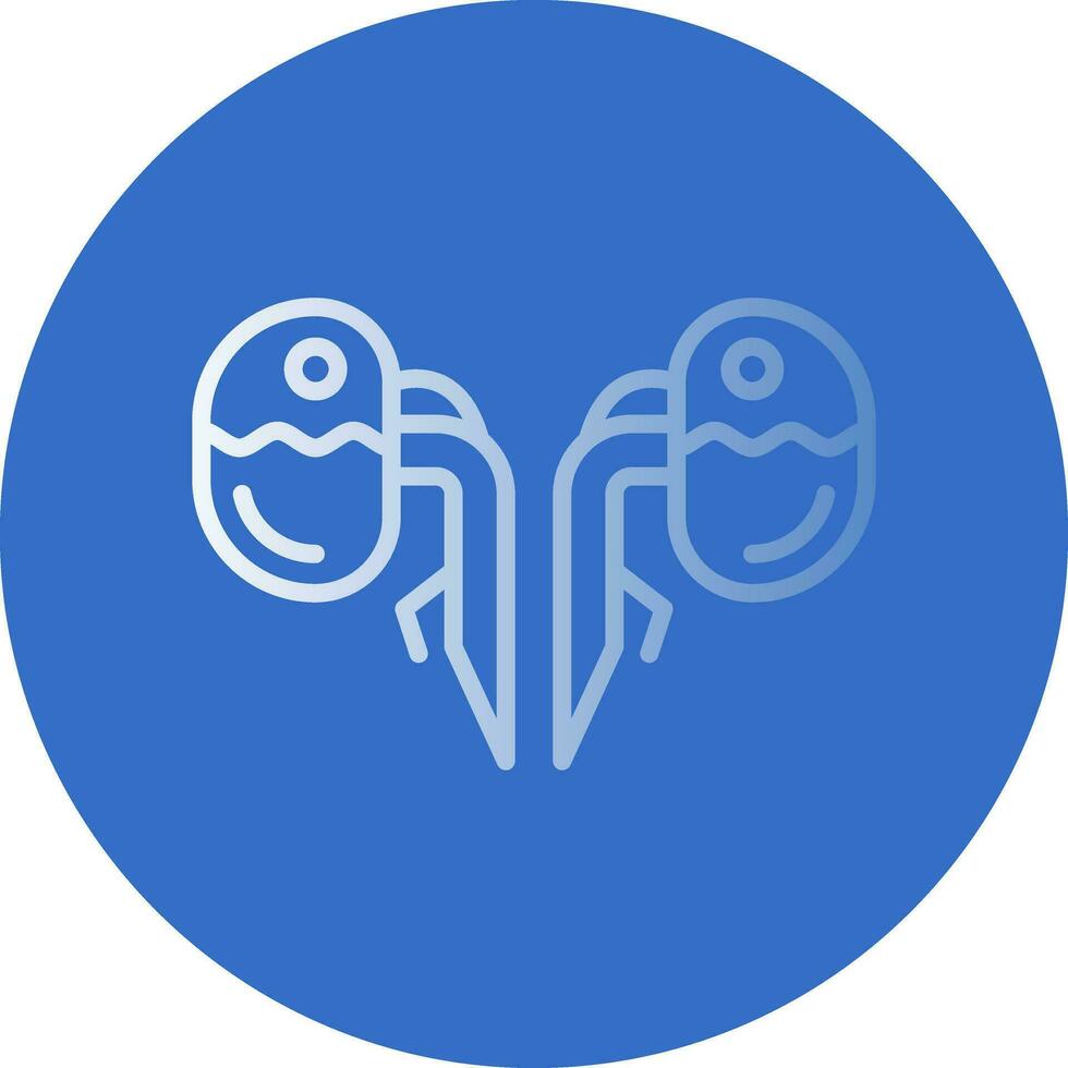 Kidneys Vector Icon Design