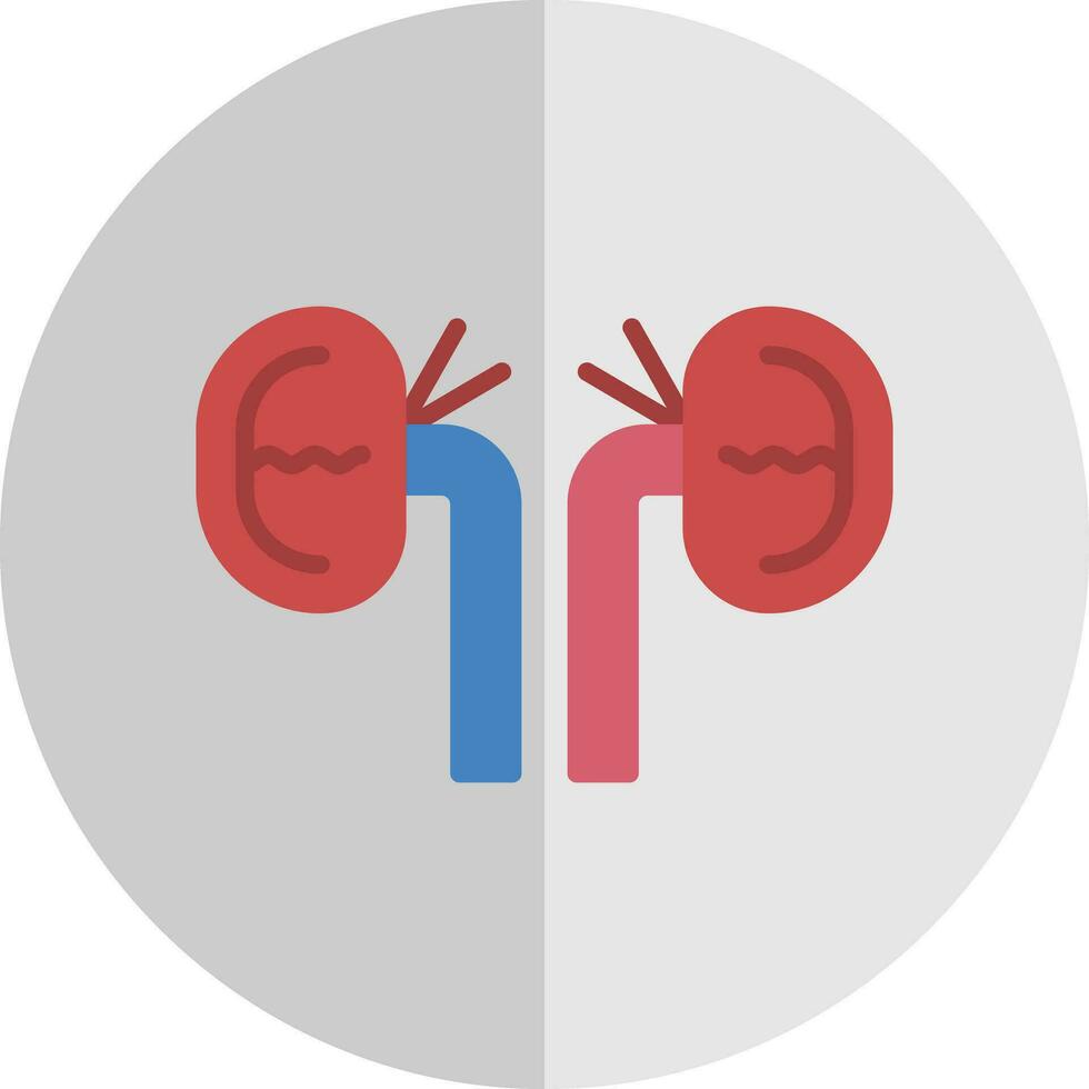 Kidney Vector Icon Design