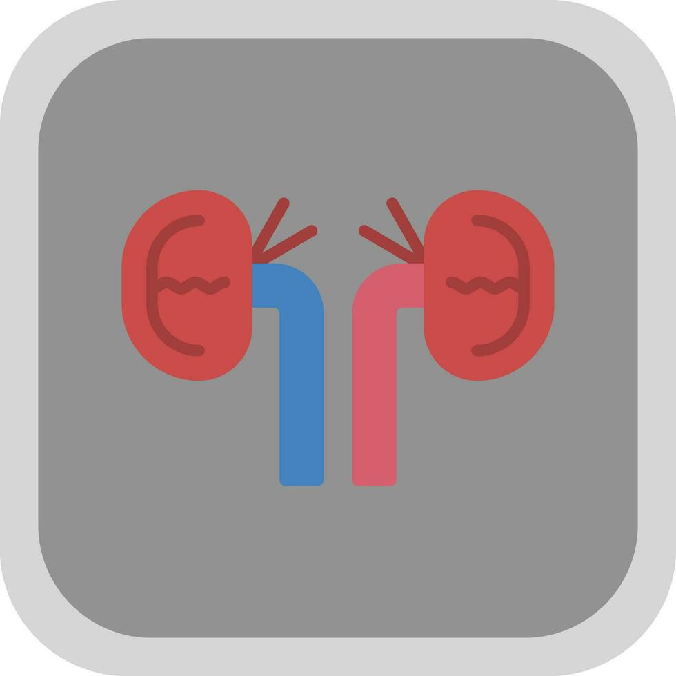 Kidney Vector Icon Design