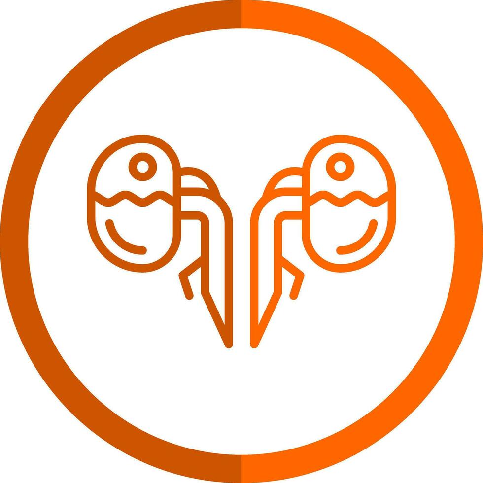 Kidneys Vector Icon Design