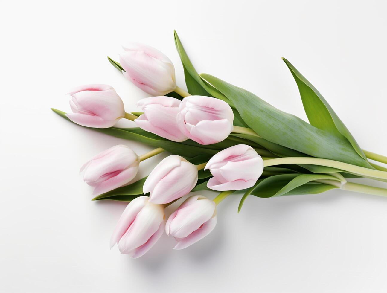 Beautiful tulip flowers with copy Space background, top view. photo