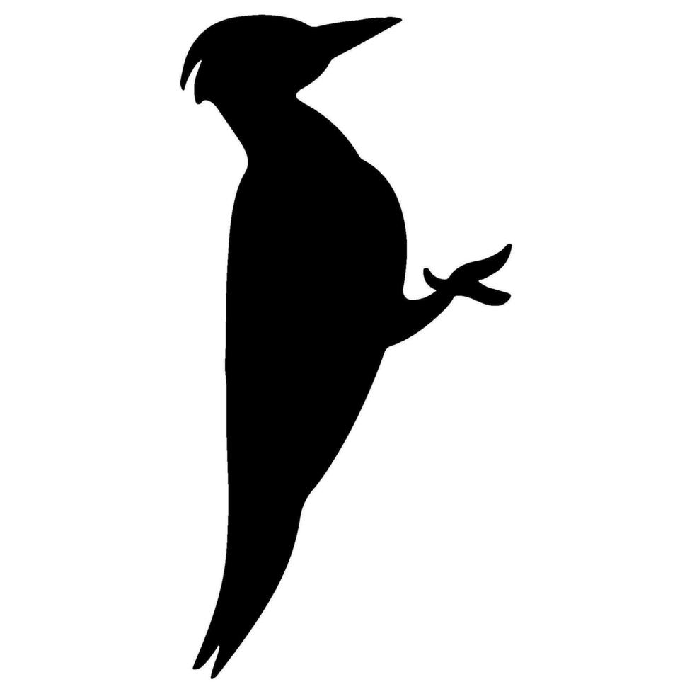 Woodpecker black silhouette vector