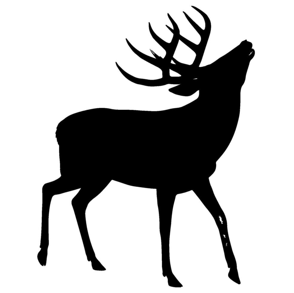 Elk black silhouette vector