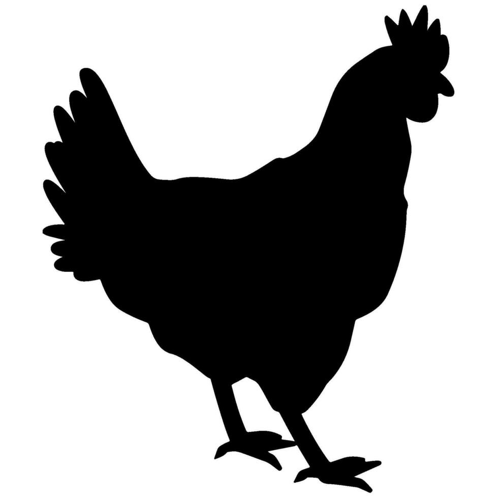 pollo blach silueta vector