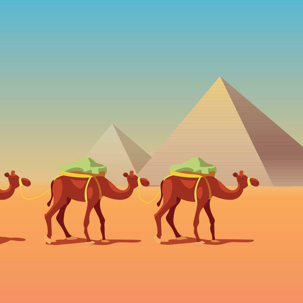 camels in caravan in front of pyramids vector