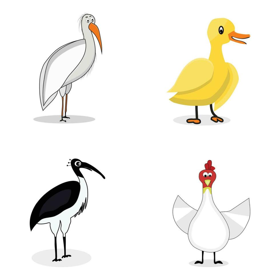 Set of birds character vector. Stork and ibis, duck and chicken illustration vector