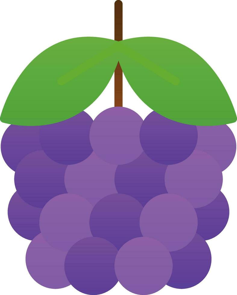 Blackberry Vector Icon Design