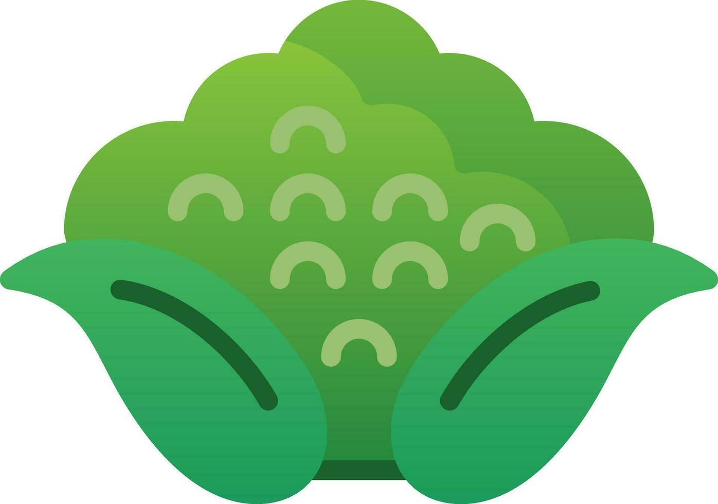 Cauliflower Vector Icon Design