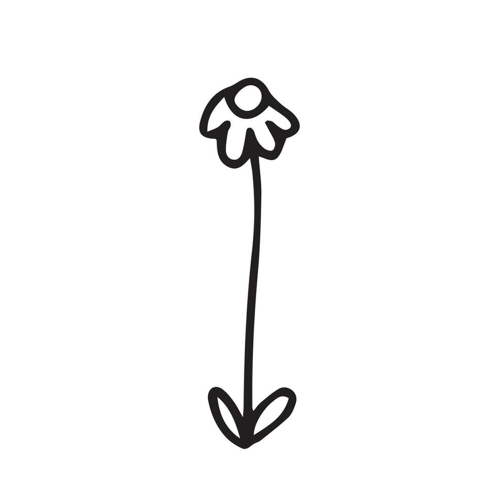 Vector summer flower illustration. Cute daisy flower sketch