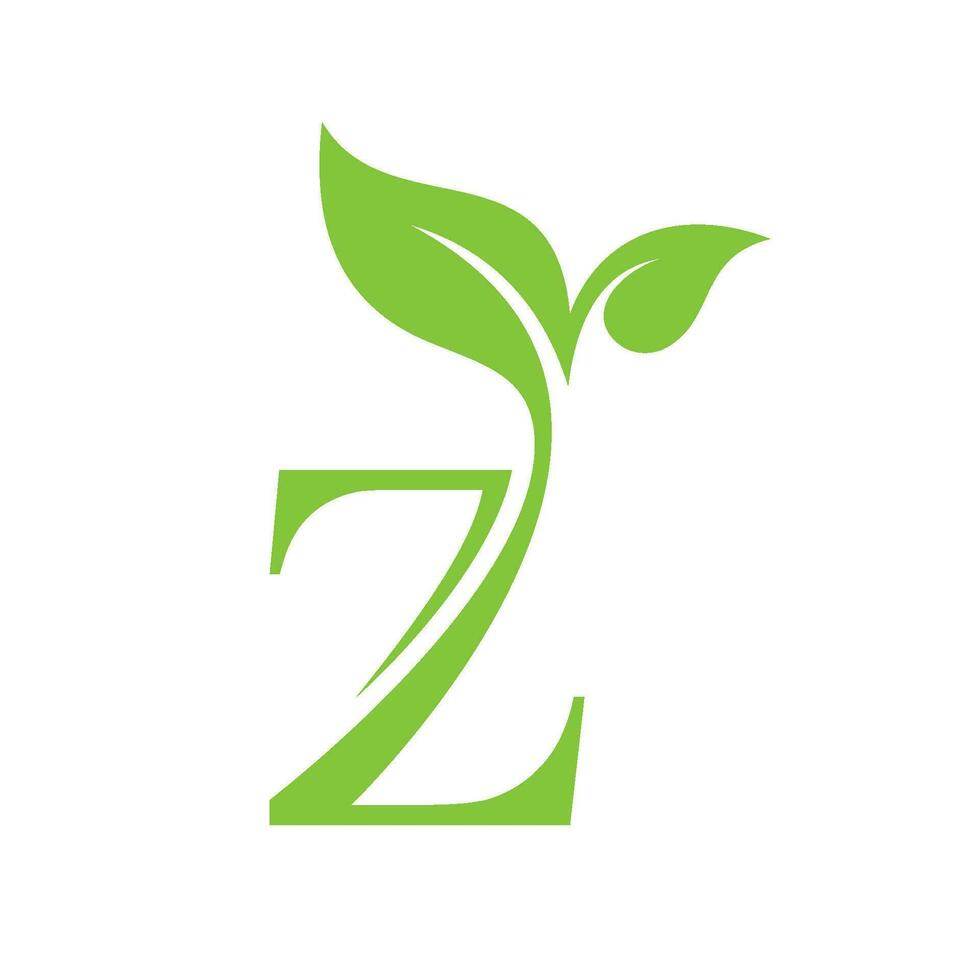 Initial Letter Z With Leaf Luxury Logo. Green leaf logo Template vector Design.