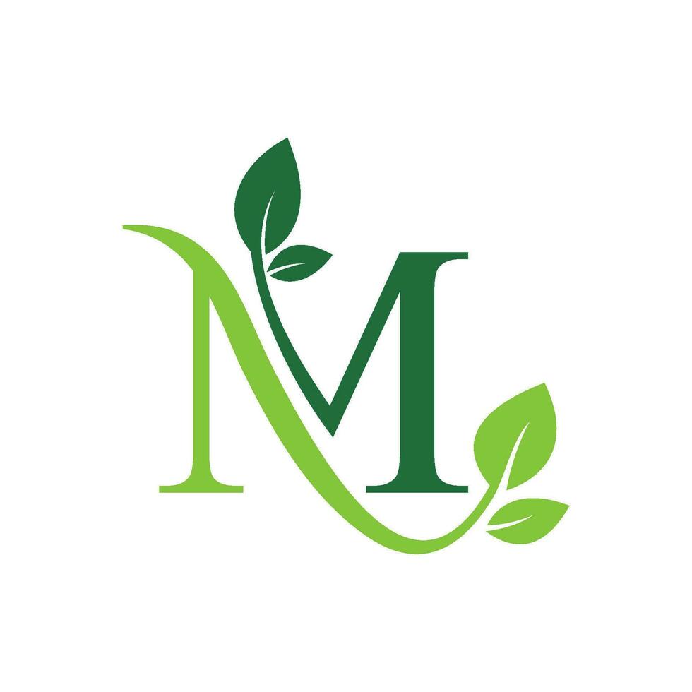 Initial Letter M With Leaf Luxury Logo. Green leaf logo Template vector Design.