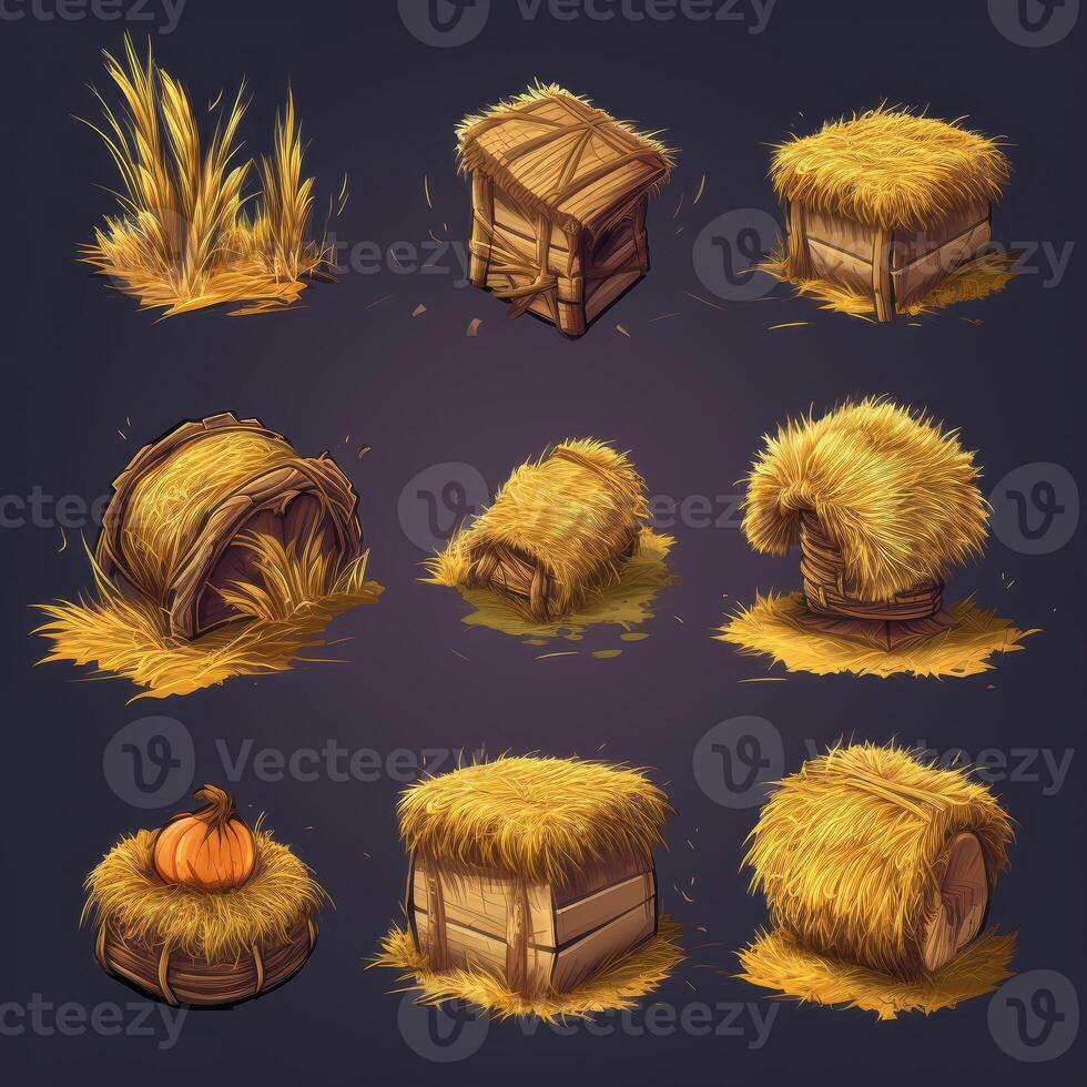 golden hay dry photo