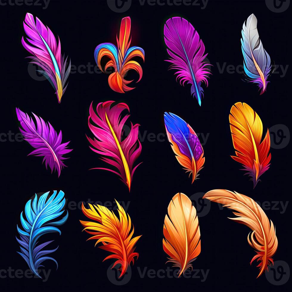 realistic feathers bird photo
