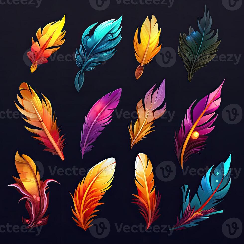 feather feathers bird photo