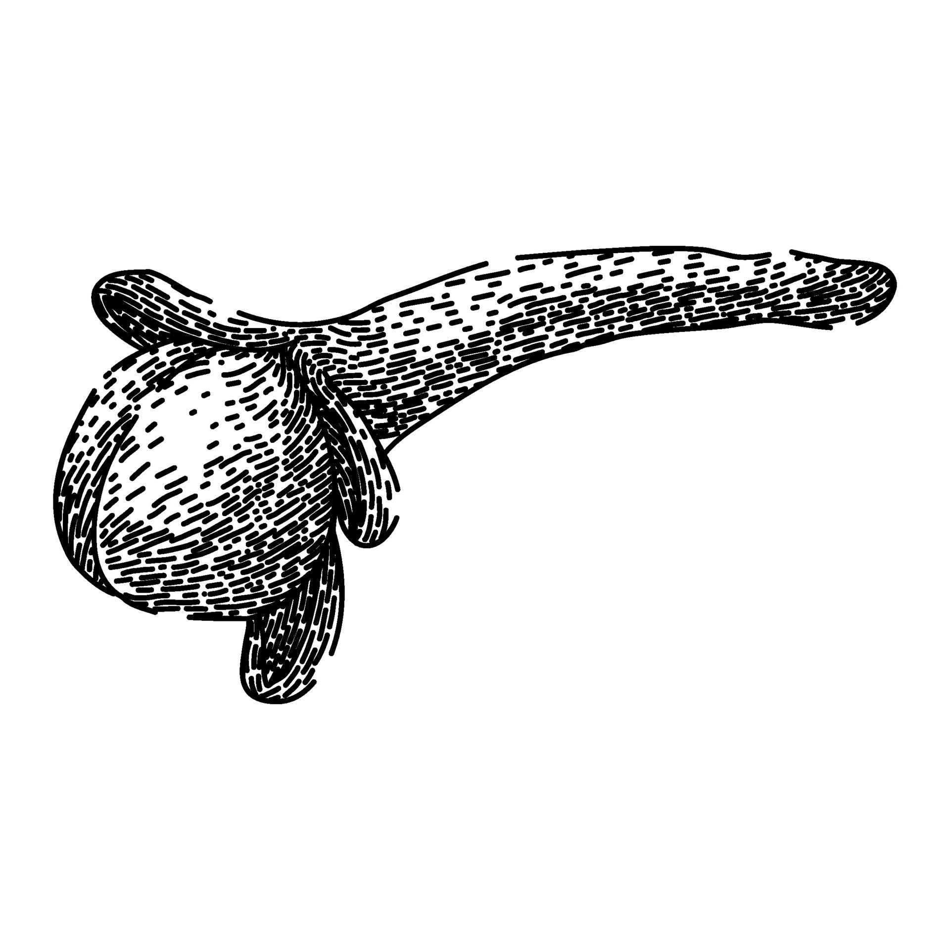 natural clove spice sketch hand drawn vector 26113999 Vector Art at