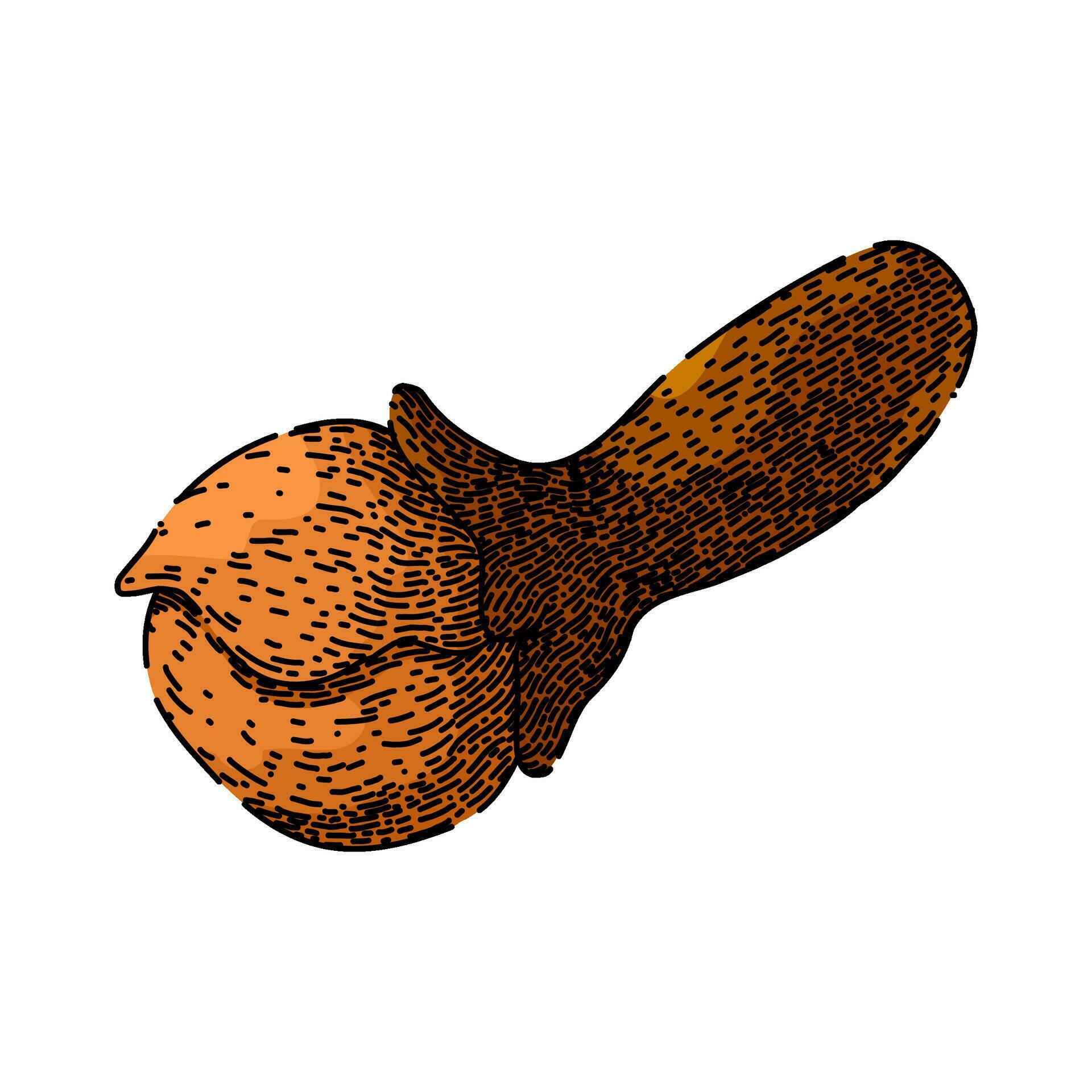 seasoning clove spice sketch hand drawn vector 26114000 Vector Art at