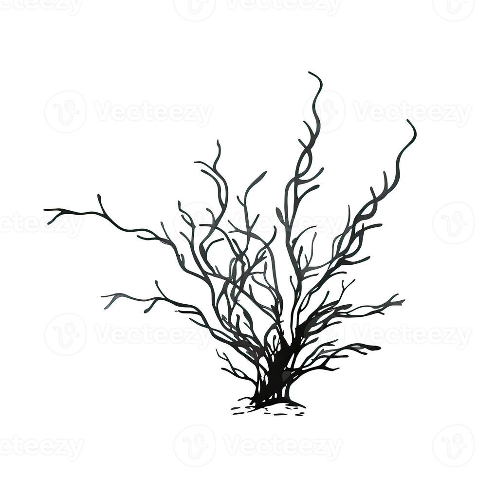 plant seaweed aesthetic photo