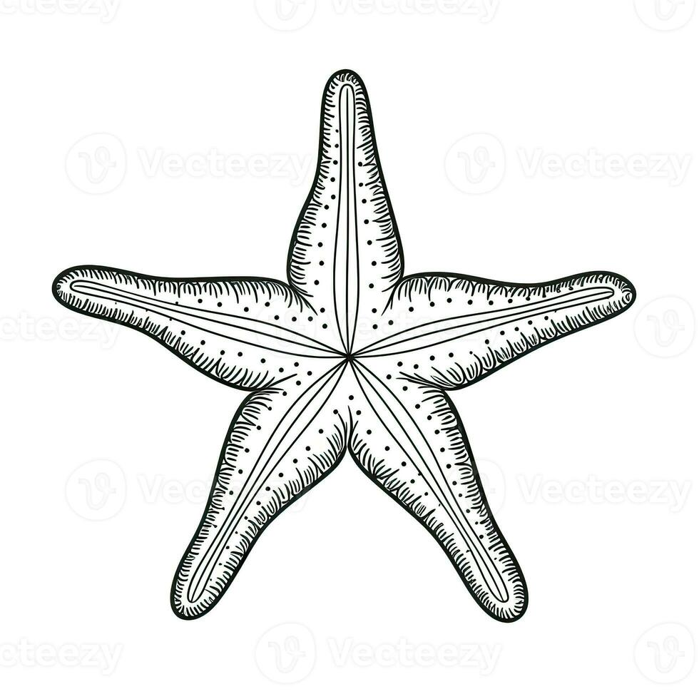 estrella estrella de mar ai generado foto
