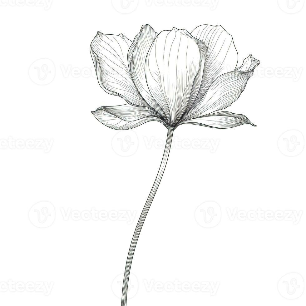 saffron Crocus flower ai generated photo