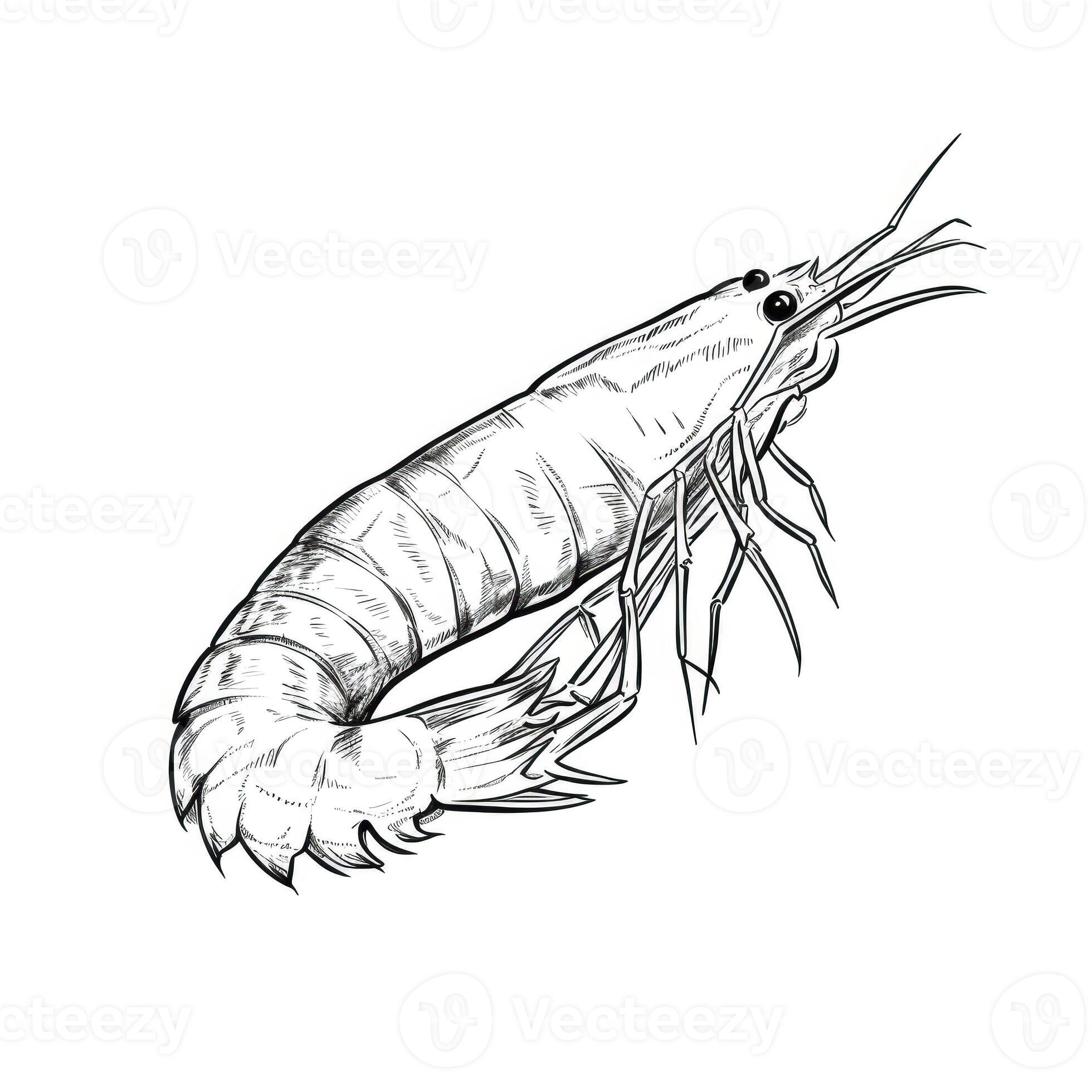 prawn Tempura Shrimp ai generated 26116496 Stock Photo at Vecteezy