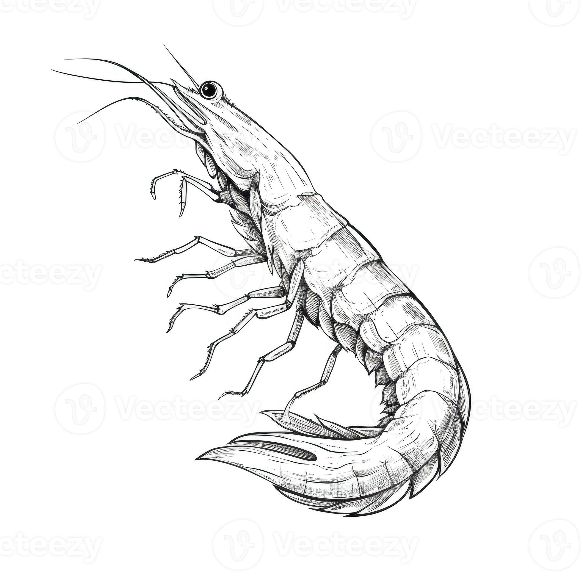 deep Tempura Shrimp ai generated 26116683 Stock Photo at Vecteezy