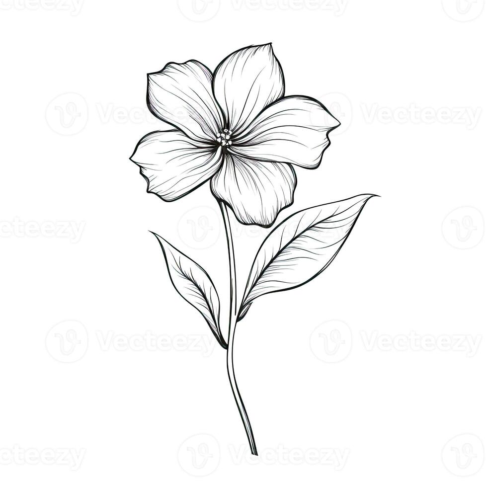 blue Periwinkle flower photo