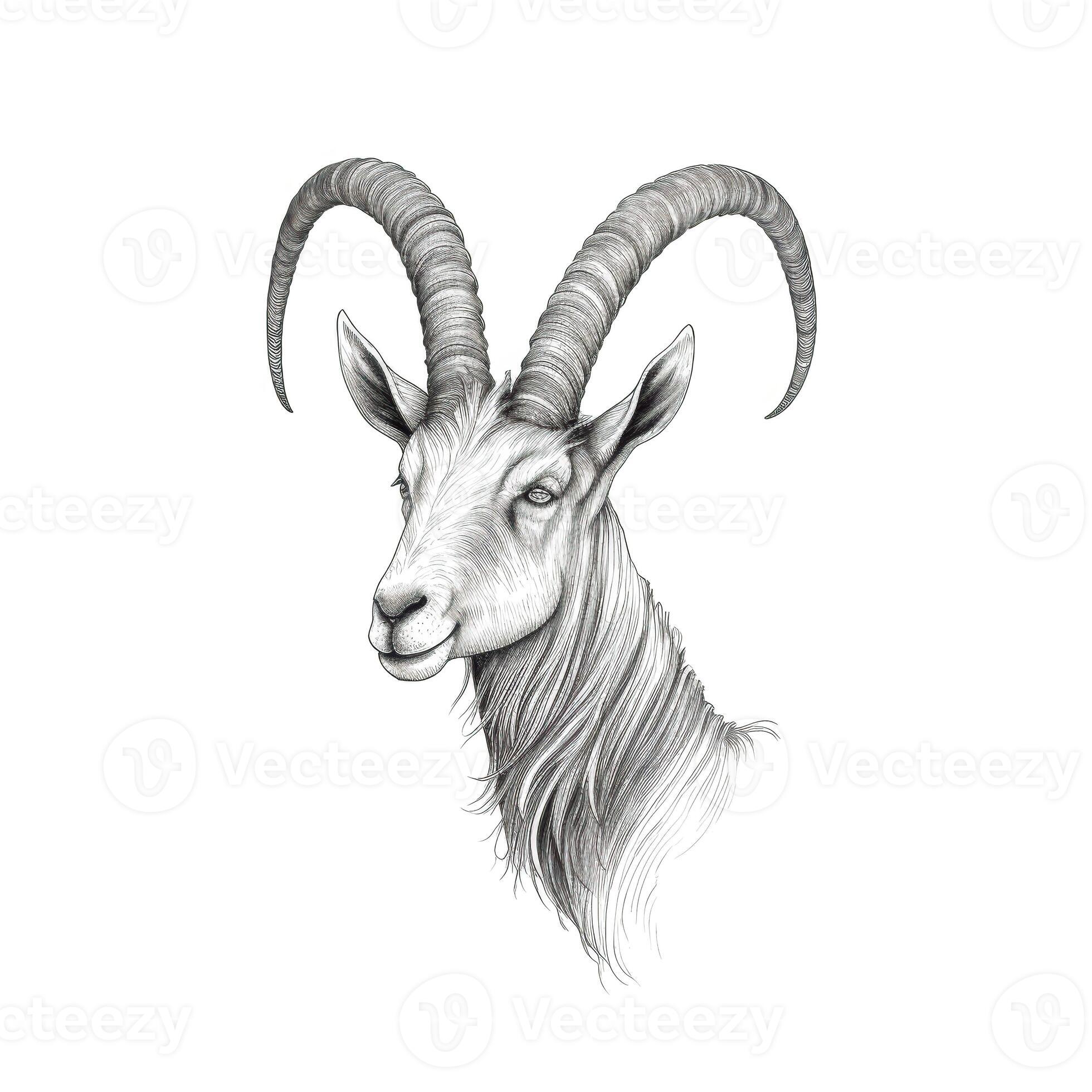 animal goat horn ai generated 26116912 Stock Photo at Vecteezy
