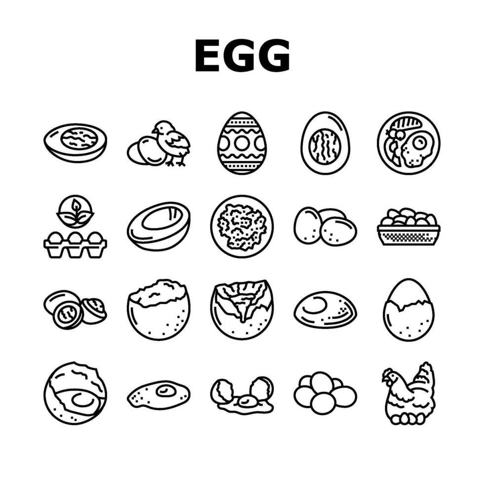 egg chicken farm food organic icons set vector