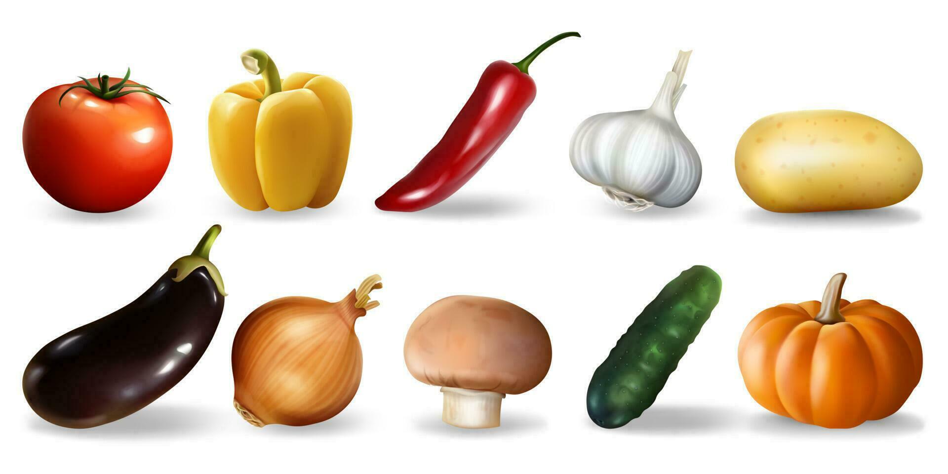 Realistic vegetables set. Collection of realism style drawn pepper pumpking garlic tomato cucumber eco food vegan nutrition or vegetarian meal menu template. Autumn harvesting mockup illustration. vector