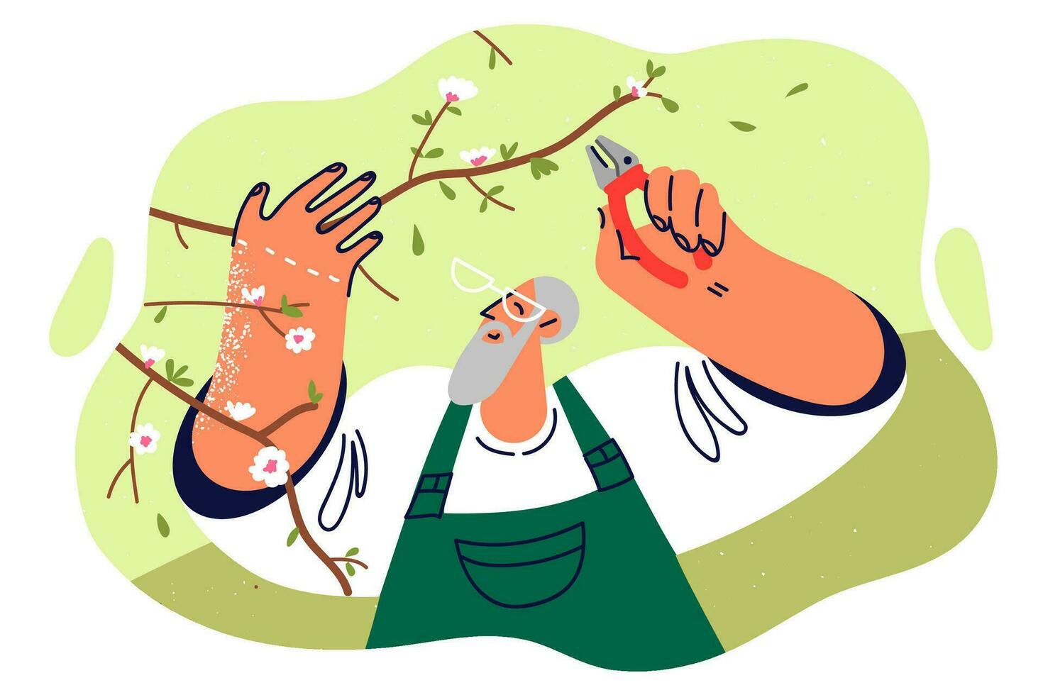 Elderly man gardener uses scissors trimming branches of flowering tree and caring for plants in park. Gray-haired old gardener enjoys work or hobby helping trees get rid of dry branches vector