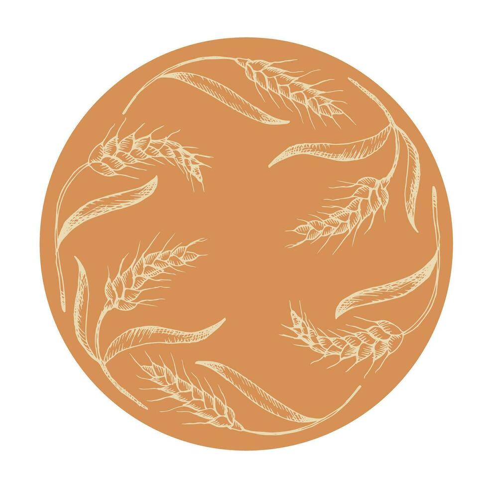 Wheat label template vector  illustration.Wheat ears frame, dried whole grains. Hand drawn cereal harvest, agriculture, organic farming, healthy food symbol. Design element on Isolated background
