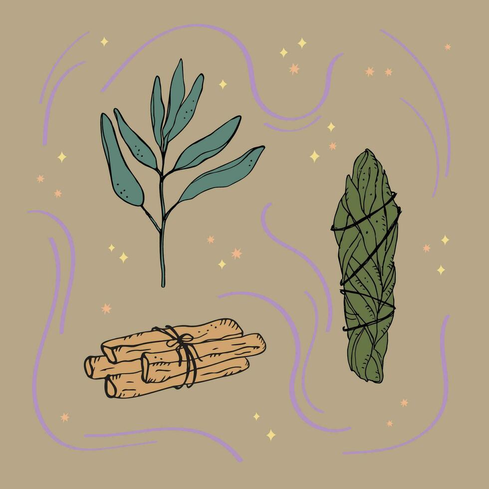 incienso, mancha palo. ilustración de sabio, seco blanco sabio, palo santo sagrado árbol, incienso palos, aromaterapia y fumigación, espiritual practicas mano dibujado boho vector ilustración