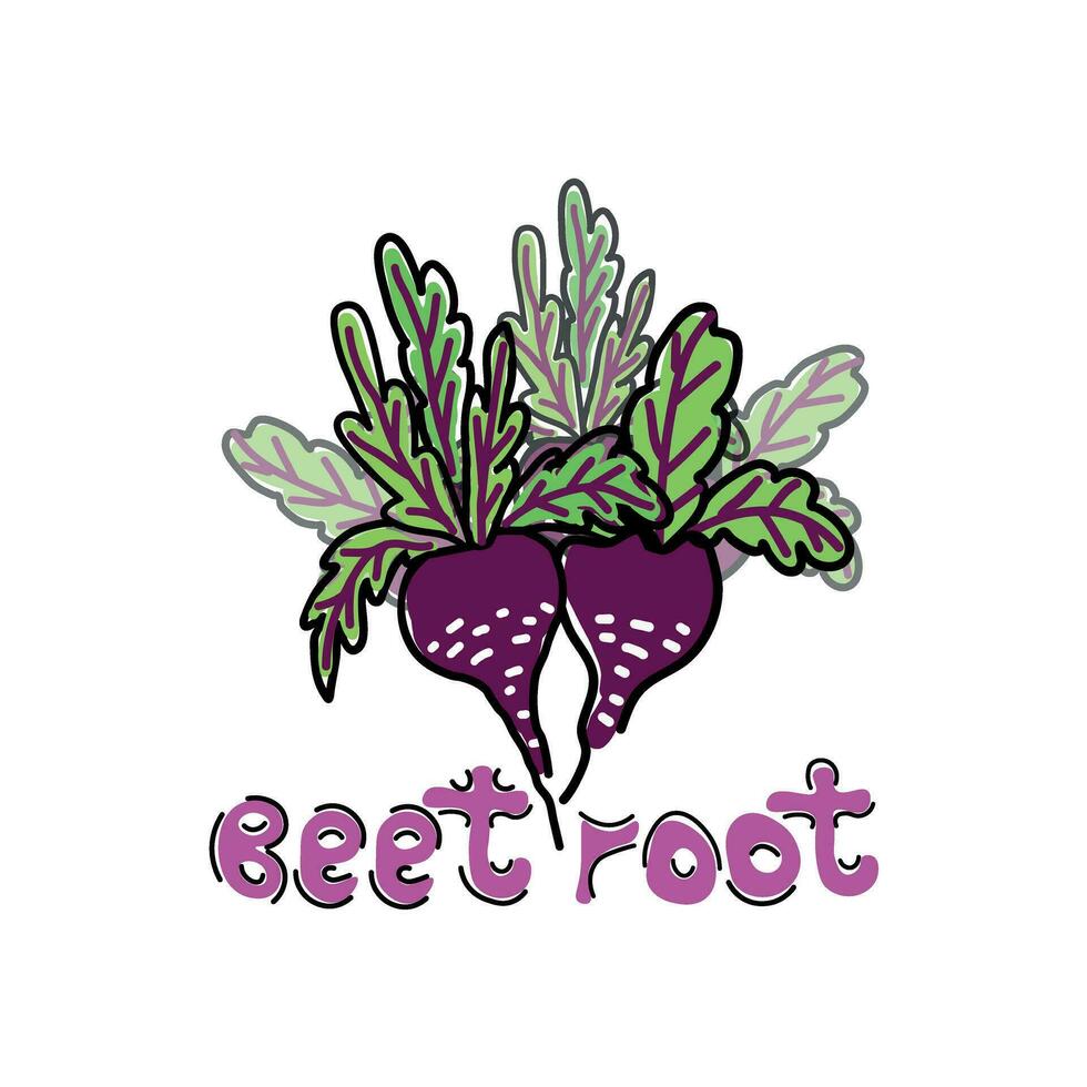Postcard with beets. Vector illustration for the design of agricultural vegetables