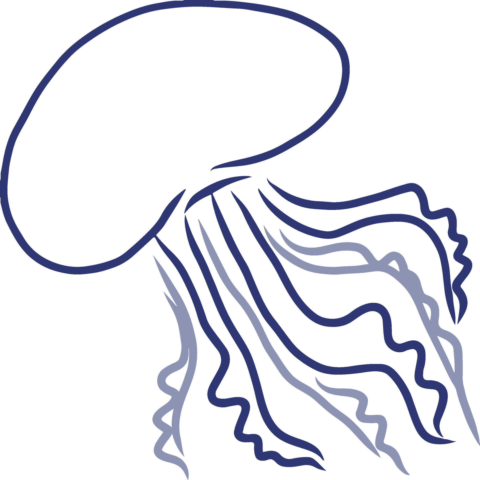 Jellyfish vector art, line drawing illustration 26121064 Vector Art at