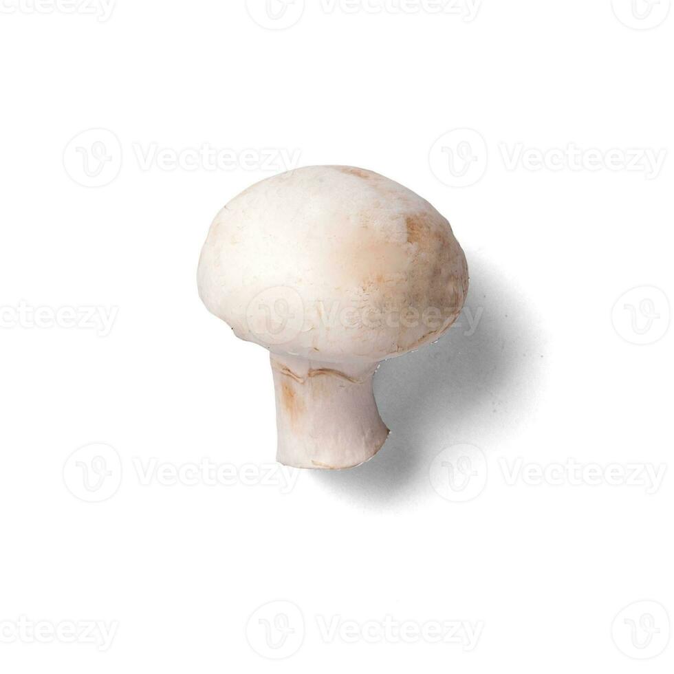 Fresh whole and sliced champignon mushrooms isolated on white background photo